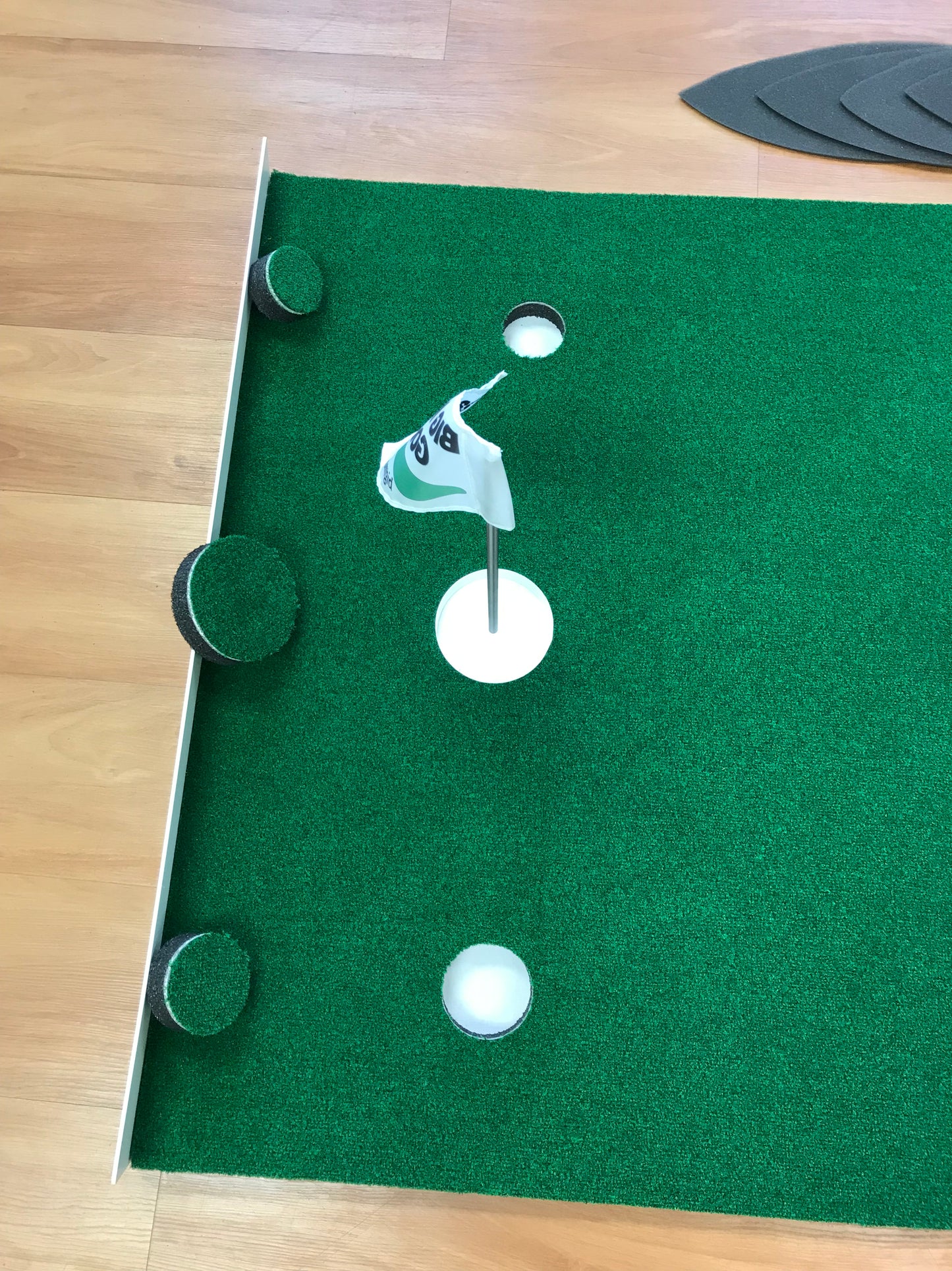 Big Moss Competitor Pro TW Putting Green